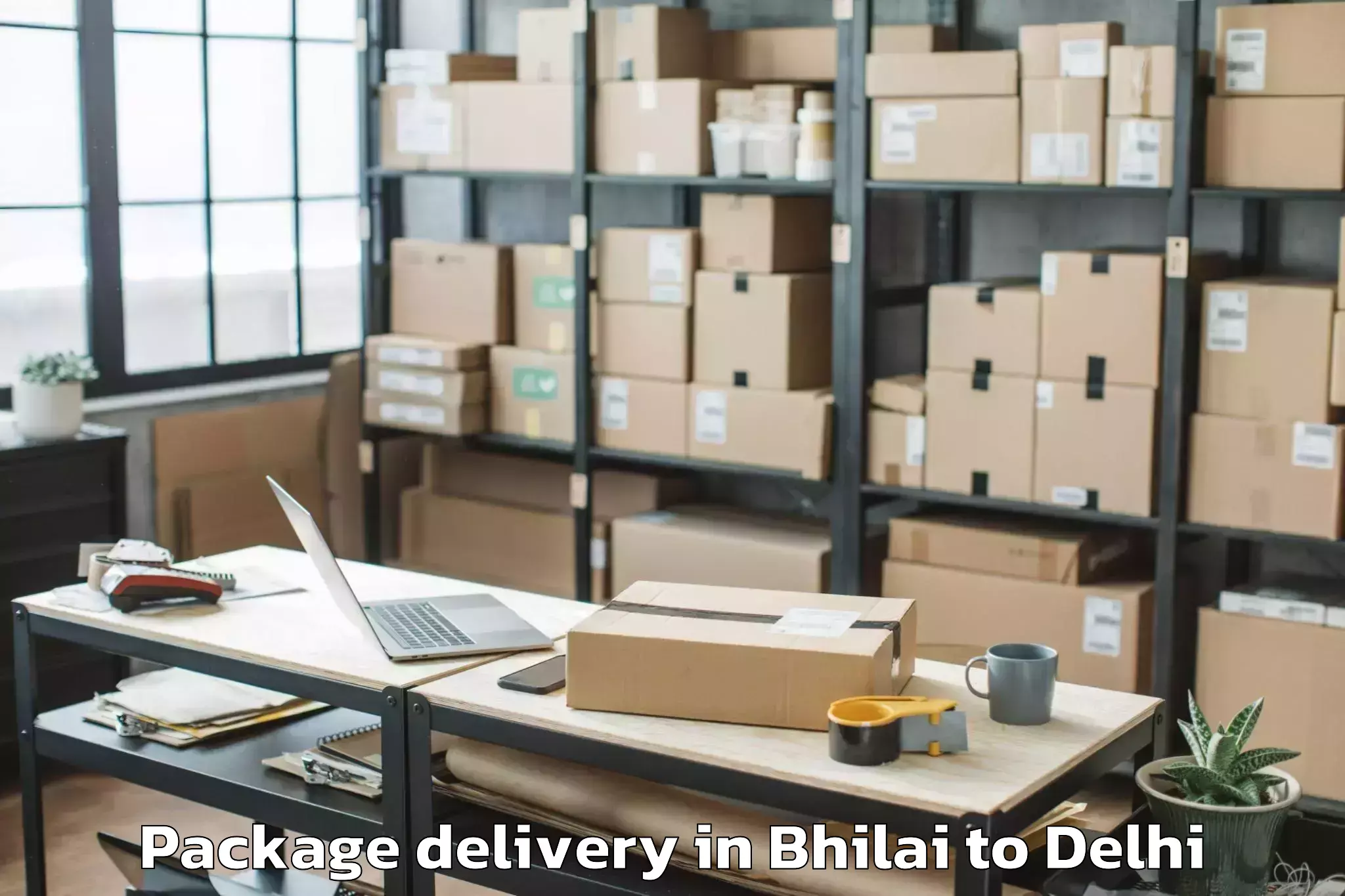 Trusted Bhilai to East Delhi Package Delivery